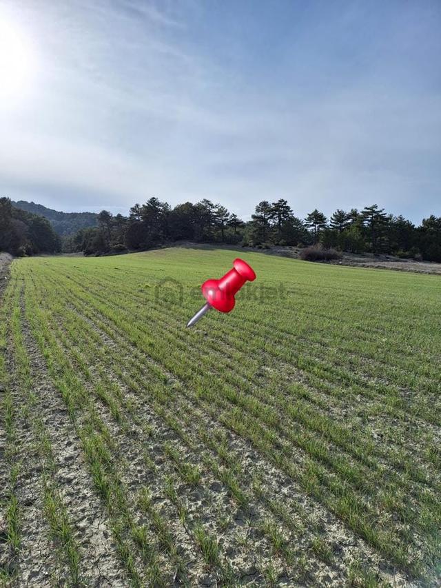 Burdur-merkez-bereket Köyü 8.085 M² Müstakil Tapu Satılık Tarla 3