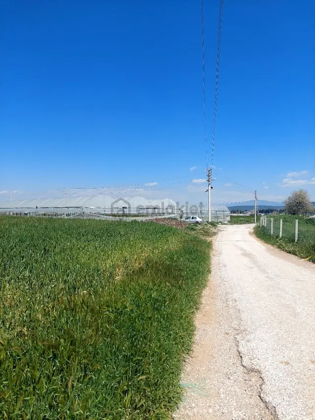 Menderes Develide Satılık Çiflik 3