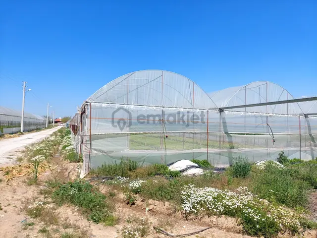 Menderes Develide Satılık Çiflik 5