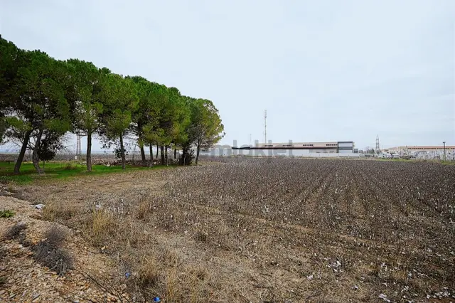 Torbalı Pancarda Depo İmarlı 11804 M' Satılık Arsa 2