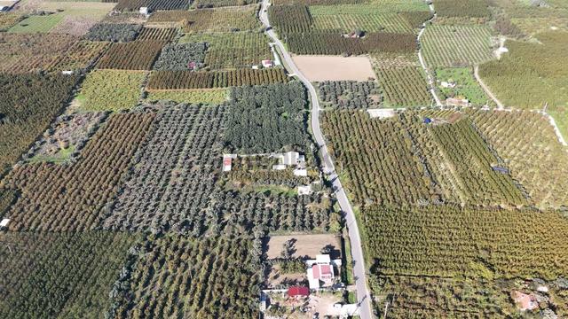Kemalpaşa Ören 75.yıl Cumhuriyet'te Ana Yola Cephe 1.210 M2 Bağ 3