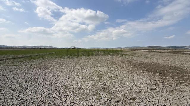 Çift Yol Cepheli 8183 M2 Yatırımlık Arazi 5