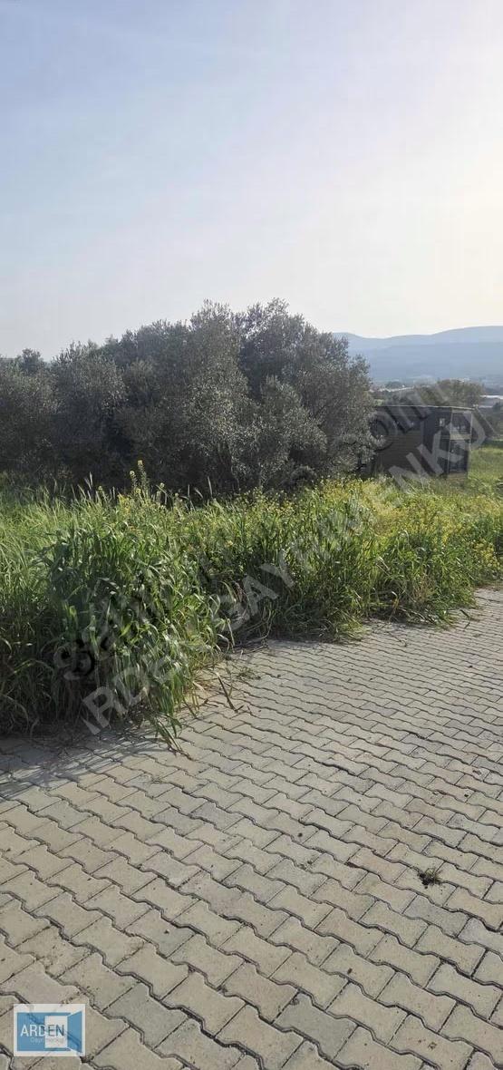 Urla Camiatik'te Satılık Tiny House Arsası (298m²) 5