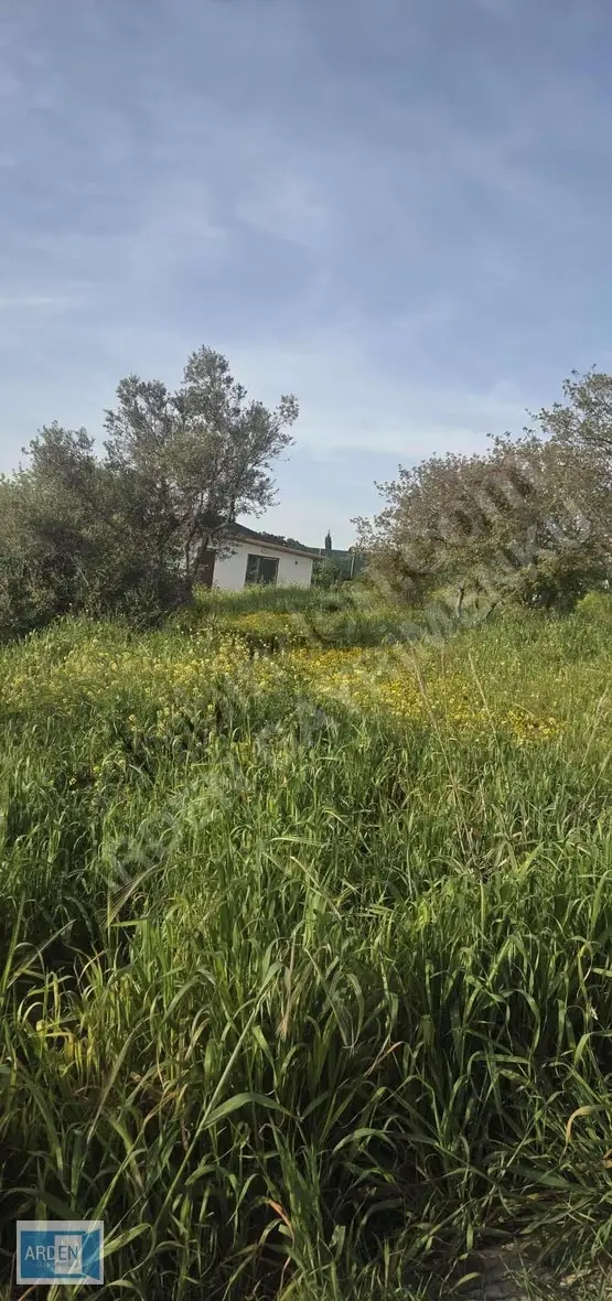 Urla Camiatik'te Satılık Tiny House Arsası (298m²) 4