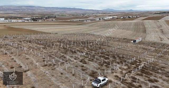 Northwest'ten Eskişehir Yolu Yakını Satılık 300m2 Hobi Bahçesi 2