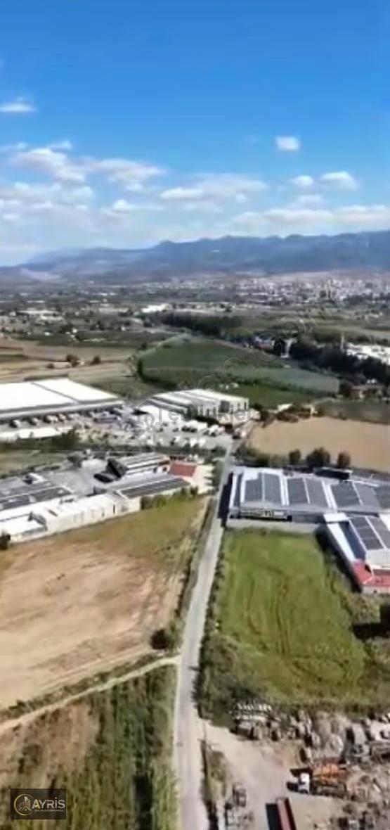 İzmir Menemen'de Satılık 6.140 M2 Depolama Alanına Uygun Tarla 4