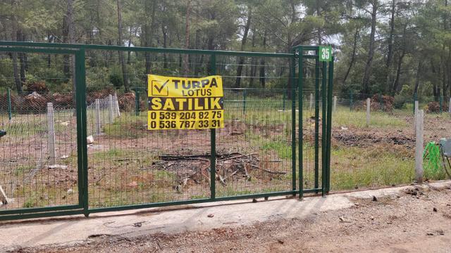 Ege Doğal Yaşam Koop. Da Satılık Konforlu Ve Doğal Yaşam Alanları 2