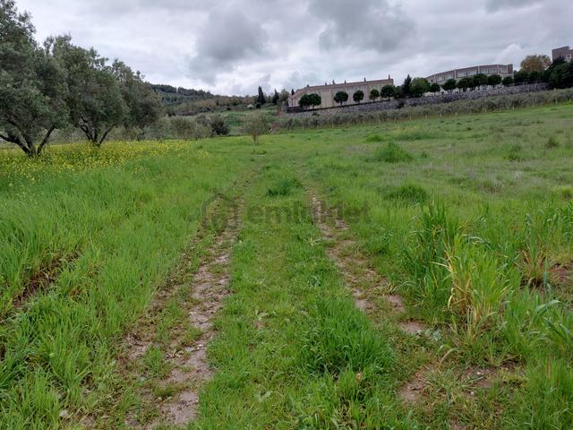 Akhisar Kayalıoğlun Da İmara Sınır 1.760 M2 Tarla 5.500.000 Tl 5