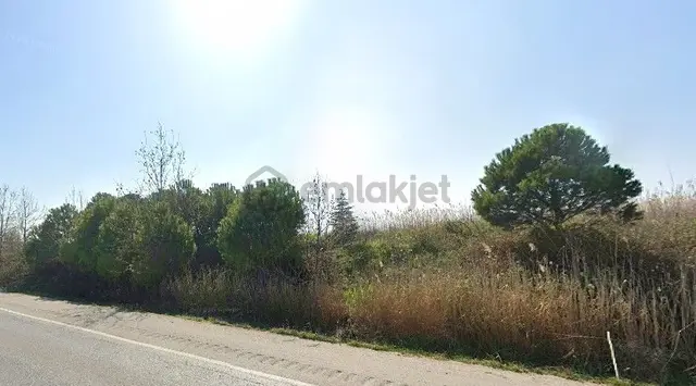 Bursa Karacabey Subaşı Mah Yatırım Fırsatı Satılık Tarla