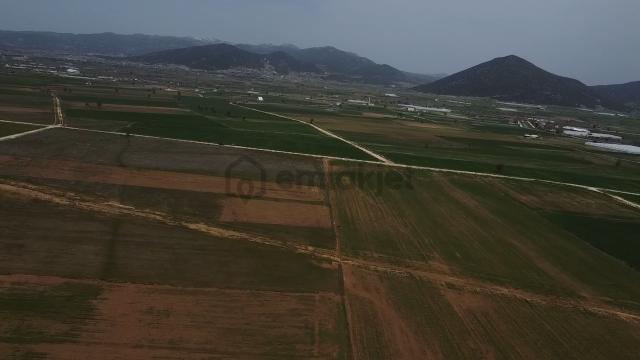 Uğurdan Y.ceylanda Çiftliğe Uygun Büyük Fırsat Arazi 5