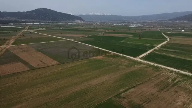 Uğurdan Y.ceylanda Çiftliğe Uygun Büyük Fırsat Arazi 4