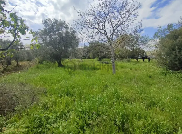 Çanakkale Lapseki Kangırlı 'da Satılık Yatırımlık Bağ/tarla 4