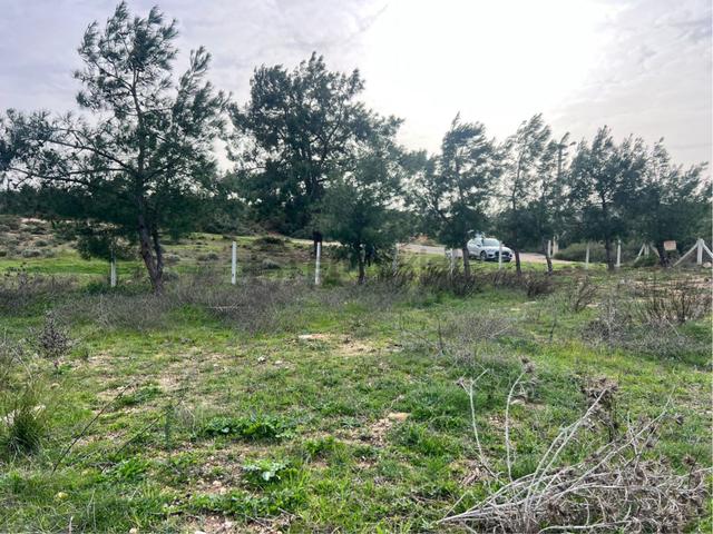 Didim Seyrantepe'de 562 M2 Tam Müstakil Arsa 4