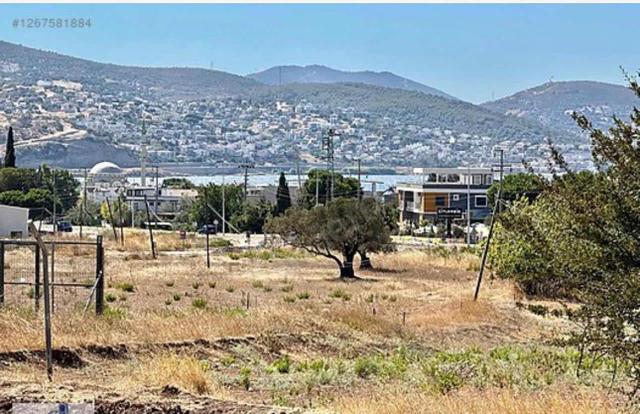 Yeni Foça Gencerlide 2114 M² 2 Tapulu Deniz Manzaralı 5