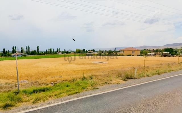 Güneşli Belediye Arsaları Karşısında Satılık 3.000 M2 Tarla 1