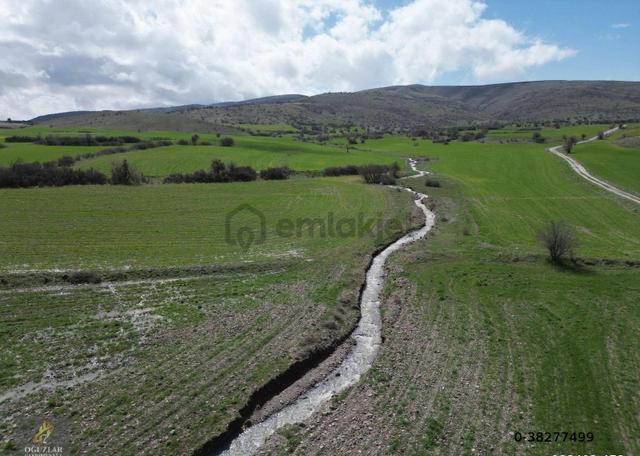 Oğuzlar'dan_ortabereket_dere Kenarı_tek Tapu_yolu Olan 15.386 M2 3