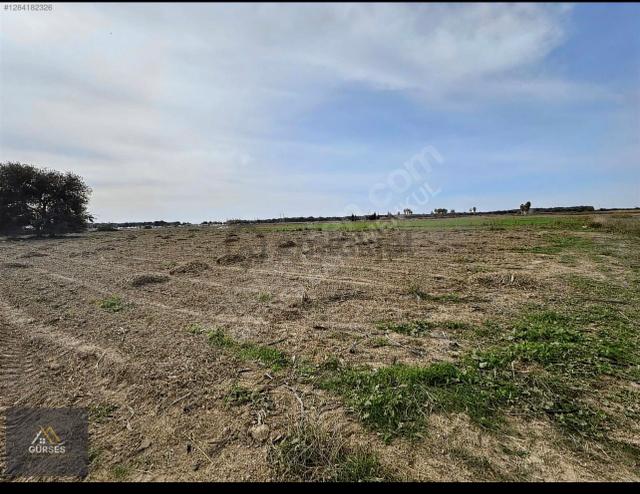 Antalya / Manavgat / Seydiler Mahallesi 3.687 M² Turizm Tesis Alanı – Otel İmarlı Arsa 2