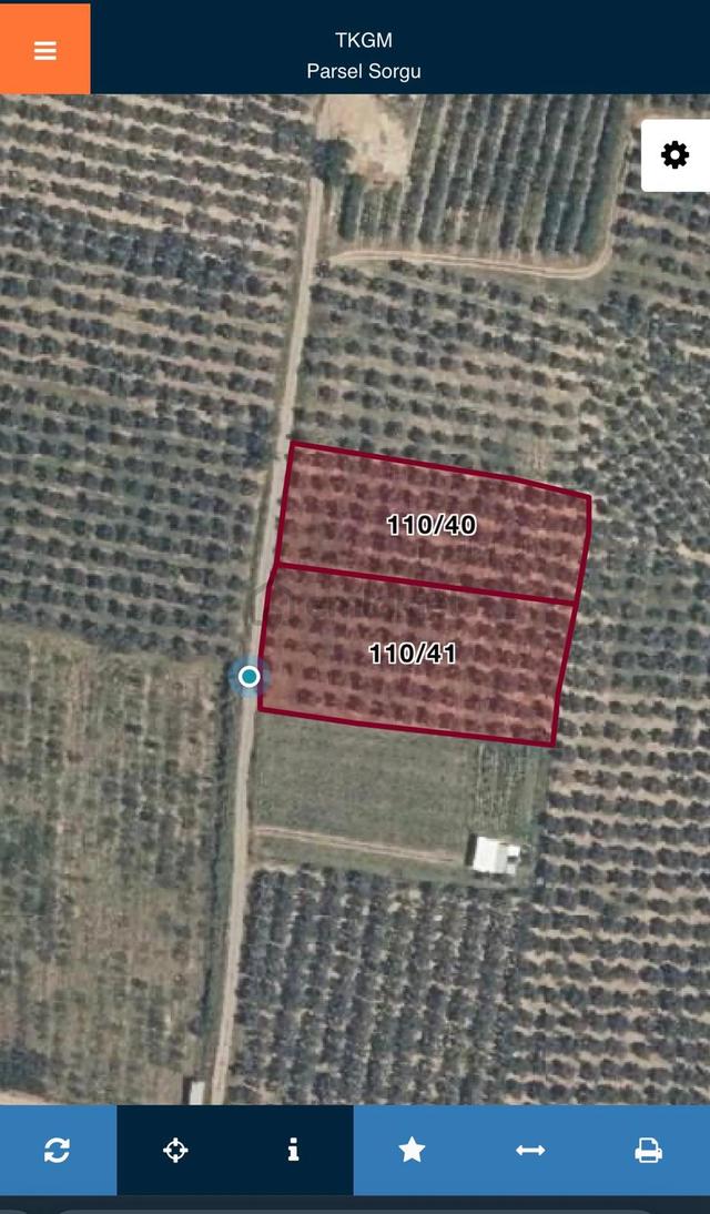 Bursa Orhangazi Yenigürle Mh 5500+1300 M2 Satılık Zeytinlik 4