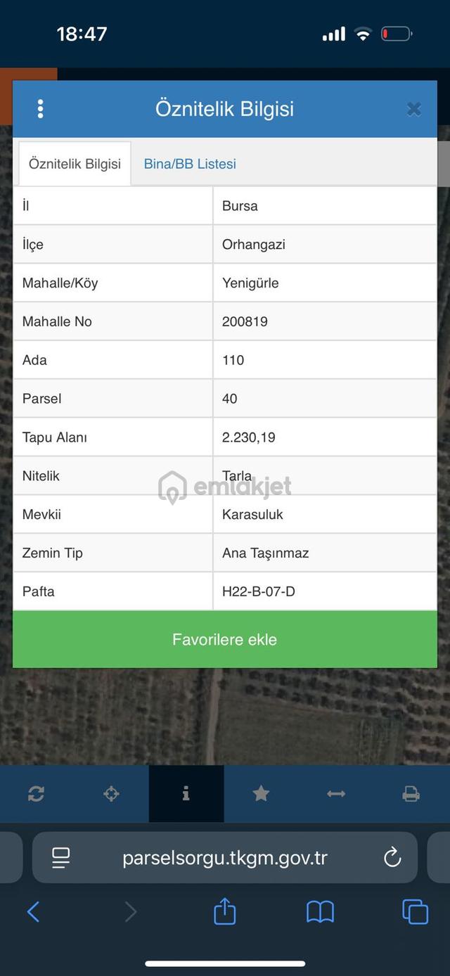 Bursa Orhangazi Yenigürle Mh 5500+1300 M2 Satılık Zeytinlik 5