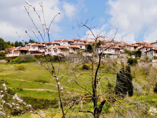 Kocaeli İzmit Arızlı Satılık Manzaralı 9568 M2 Tarla Üzüm Bağı 1
