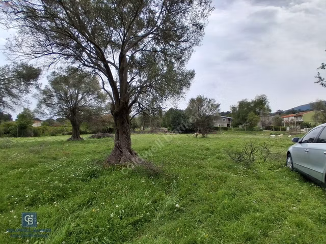 İzmir Urla Çeşmealtı Güvendik Mahnde Eşsiz Yatırım Fırsatı