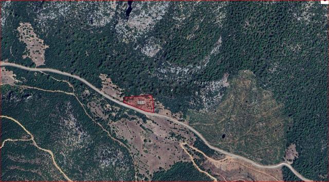 Bucak Taşyayla Köyünde Satılık Fırsat Tarla