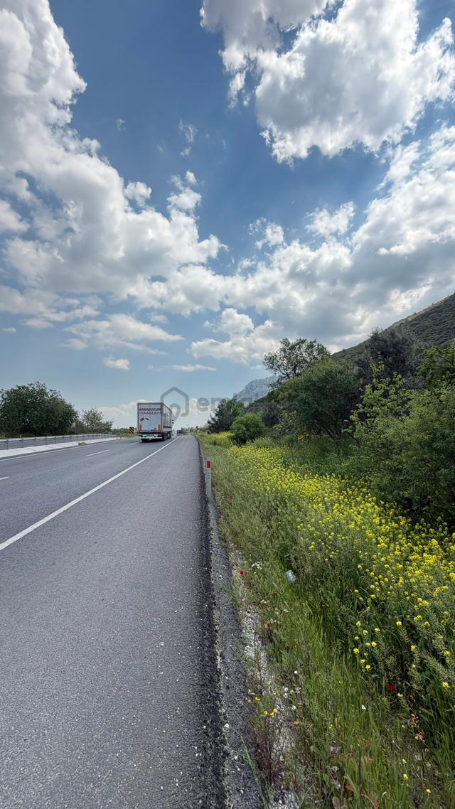 Uncu Bozköy Mh 1.200 M2 Turgutlu Asfaltına Sıfır Fırsat Zeytinlik 4