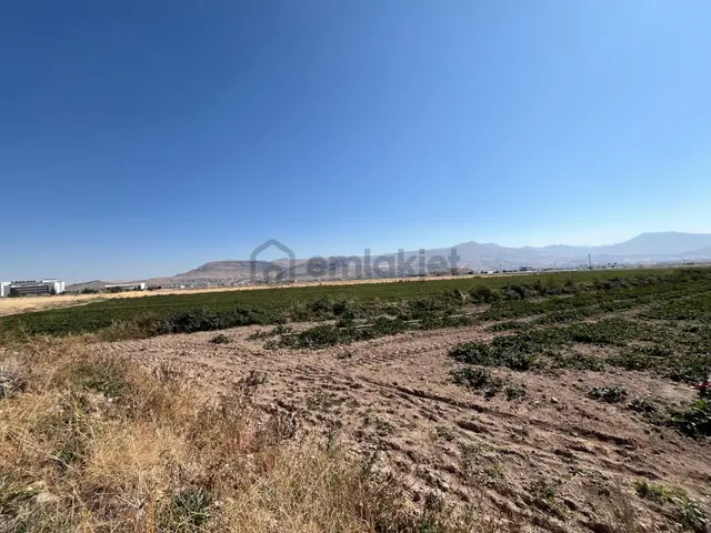 Öz Gaye Emlaktan Develi Reşadiye Mahallesi Üniversite Altında Satılık Tarla 4