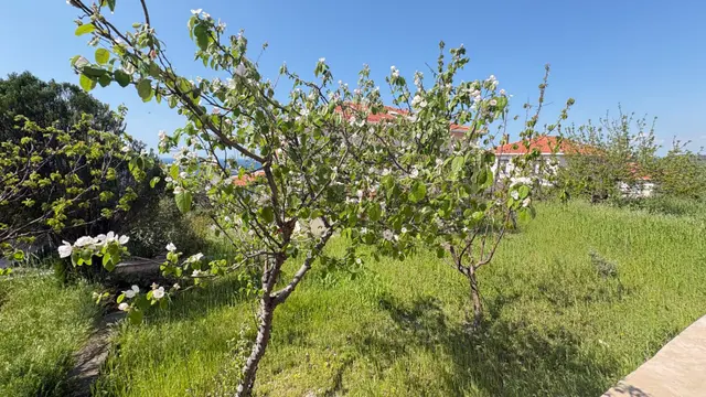 Çanakkale Akliman'da Deniz Manzaralı Site İçi Satılık Villa 4