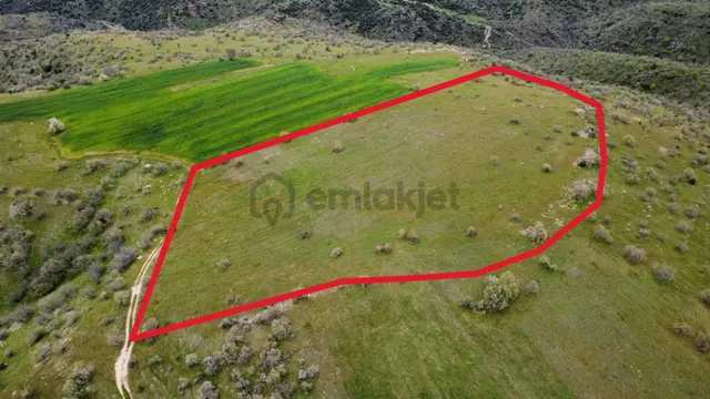 Uşak Eşme Kayalı Köyünde Satılık Tarla 2
