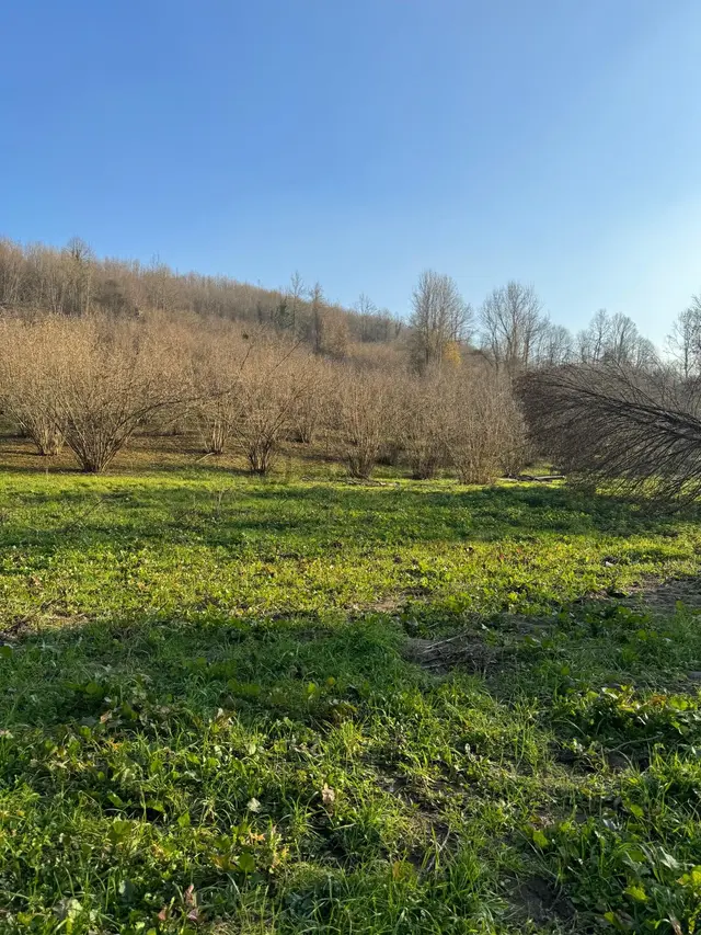 350m2 Parsel Doğa İçinde, Arsa Tapulu Yuşa'dan Satılık 3