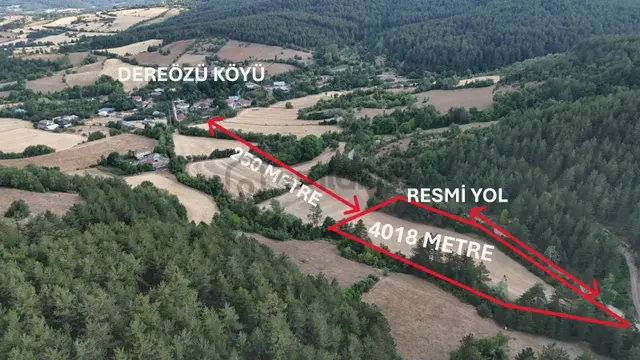 Kastamonu Daday Dereözü Köy Dibi 4018 M2 Tarım Arazisi Köye 450m 1