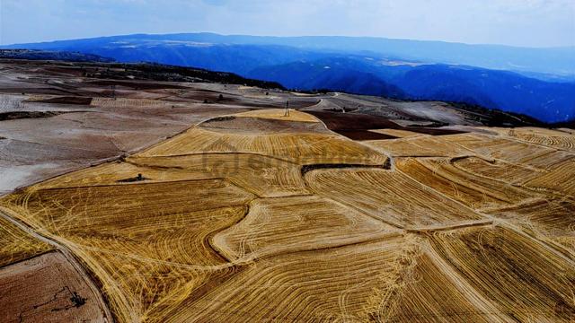 Ankara Beypazarı Kargı 6973m2 Resmi Yola Cepheli Arazi 5
