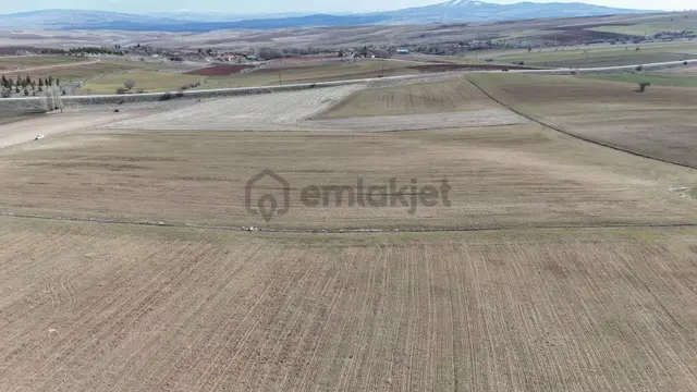 Nevşehir Hacıbektaş Merkezi Savat Mahallesi 35dönum Fırsat Arazi 3