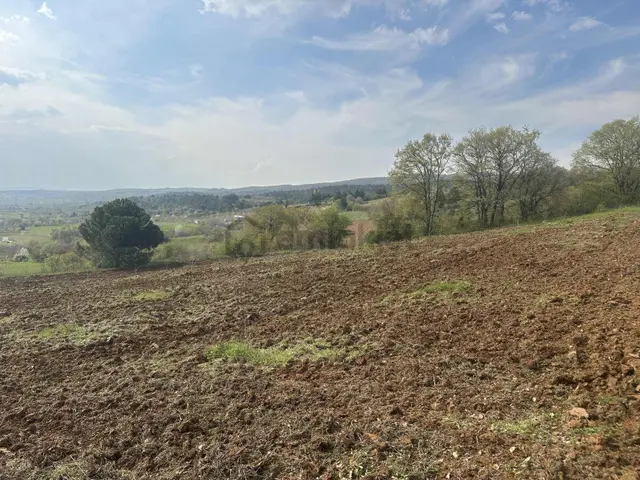 Küçükyenice'de Satılık 2800m2 Tek Tapu Ceviz Ekili Manzaralı 4