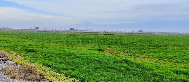 Menemen Ahihidır'da 24 Dönüm Tek Tapu Tarla 4