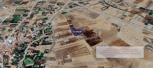 Afyon Üçok Emlaktan İhsaniye Yaylabağında 16.960m² Satılık Tarla 1