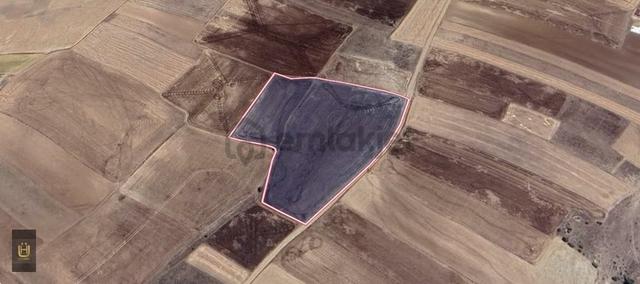 Afyon Üçok Emlaktan İhsaniye Yaylabağında 16.960m² Satılık Tarla 2