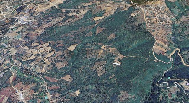 Sinerji'den İnegöl Güzelyurt Köyünde Yola Cephe Fırsat Arazi 1