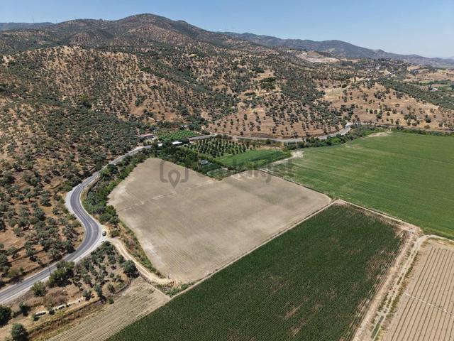 Remax Pin'den Ana Yola Cephe 18.895 M2 Alan İçinde Satılık Tarla 2