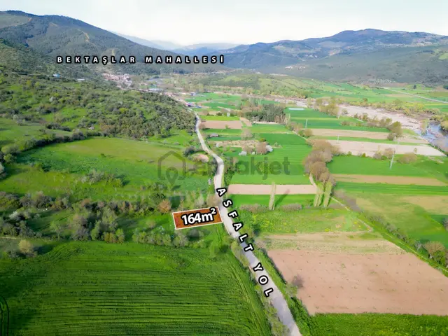 Kepsut Bektaşlar Köyünde Fırsat !yola Cephe 1362 M²satılık Tarla 2