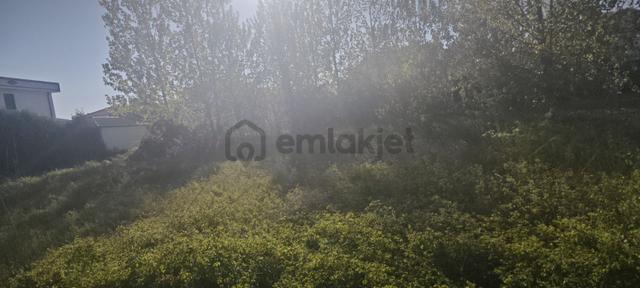 Yunusemre Mahallesinin En Elit Konumu 4