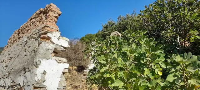 Eski Doğanbey'de Satılık Avlulu Taş Ev(harabe) 5