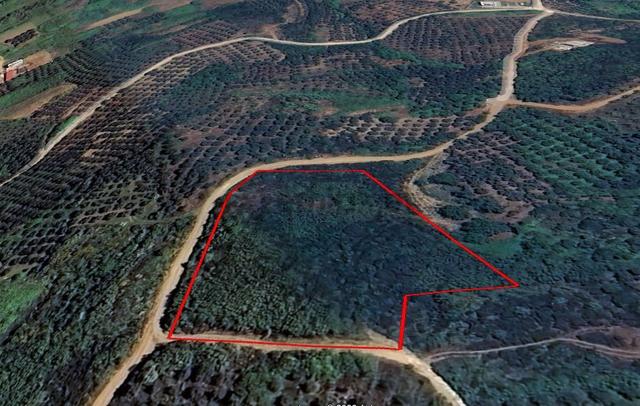 Balıkesir Bandırma Sahil Yenice Mah. 6942 M2 Satılık Tarla Deniz Manzaralı Merkezi Konumda 3