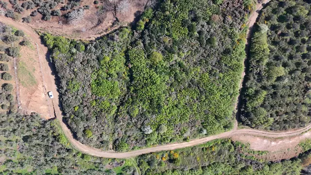 Balıkesir Bandırma Sahil Yenice Mah. 6942 M2 Satılık Tarla Deniz Manzaralı Merkezi Konumda 2