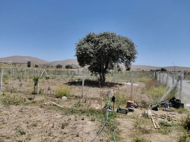 Talas Kamberde Satılık Hobi Bahçeleri. Son Kooperatif Hisseleri! 5