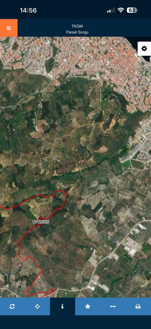 Bursa Mudanya Işıklıda Yatırımlık Satılık Zeytinlik 1,849 M2 3