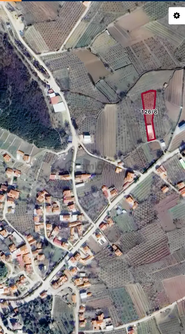 Balkırı Köyü Satılık Mantarhane Ve Elma Bahçesi 1