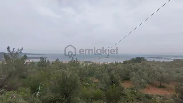 Cunda Adasında Satılık 12 Dönüm Deniz Manzaralı Zeytinlik Cunda Adasında Satılık 12 Dönüm Deniz Manzaralı Zeytinlik