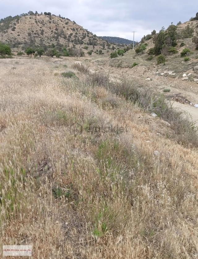 Kemer Kayı Köyünde Yerleşim Yeri İçinde 7500 M2 Suyu Mevcut 5